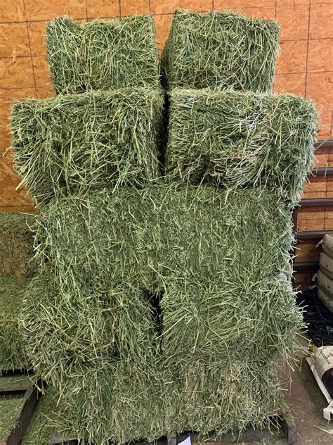 We stock many varieties of <b>hay</b> brought in from the mountains and various other <b>hay</b> ranches locally. . California alfalfa hay prices